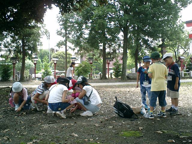com807.JPG
