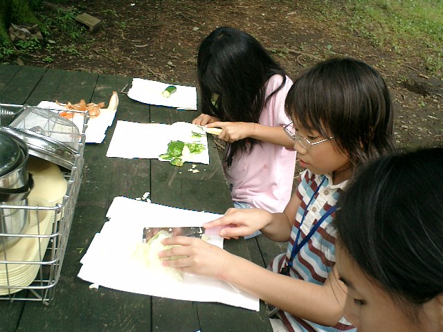 com8113.JPG