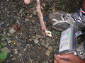 com8206_thumb.png