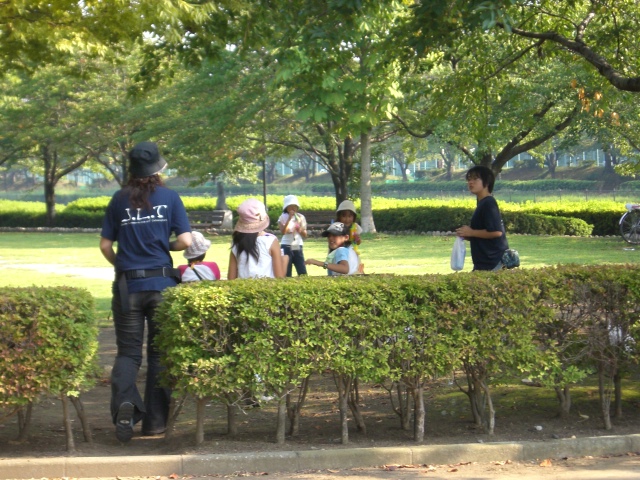 com950.JPG