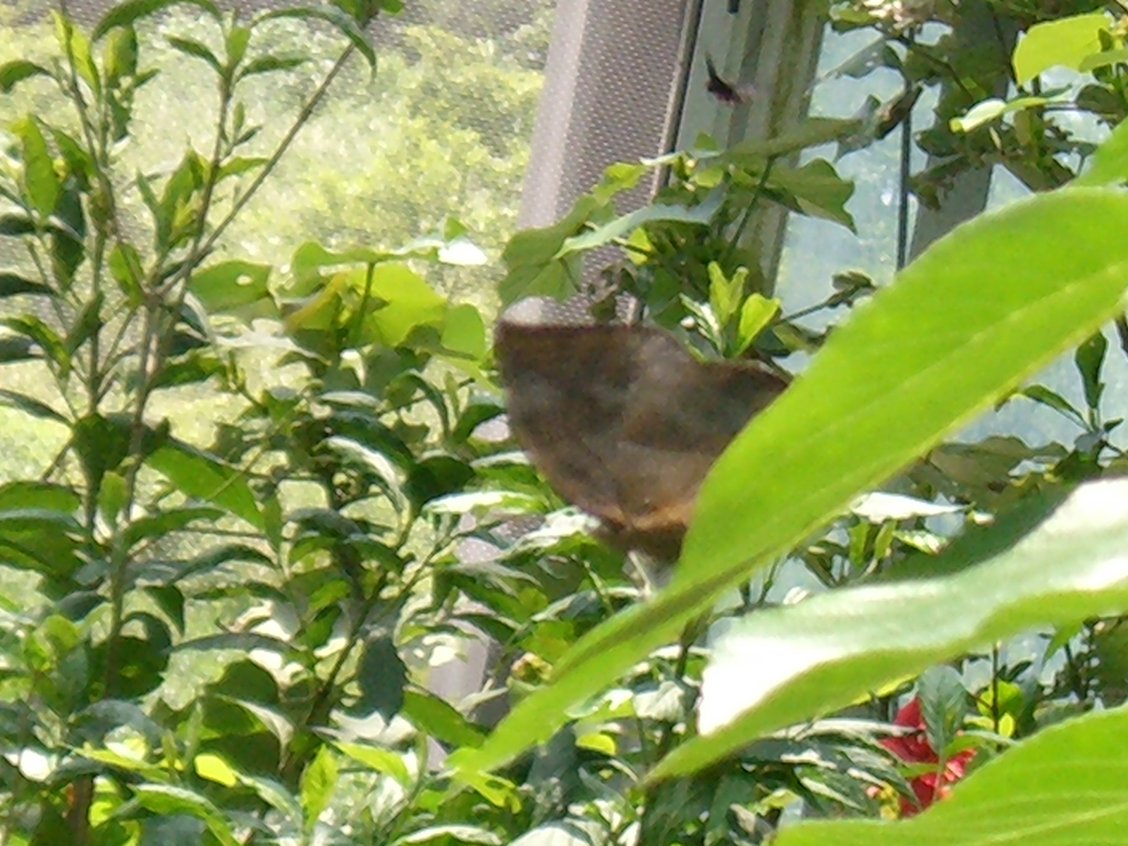 CIMG0062.JPG