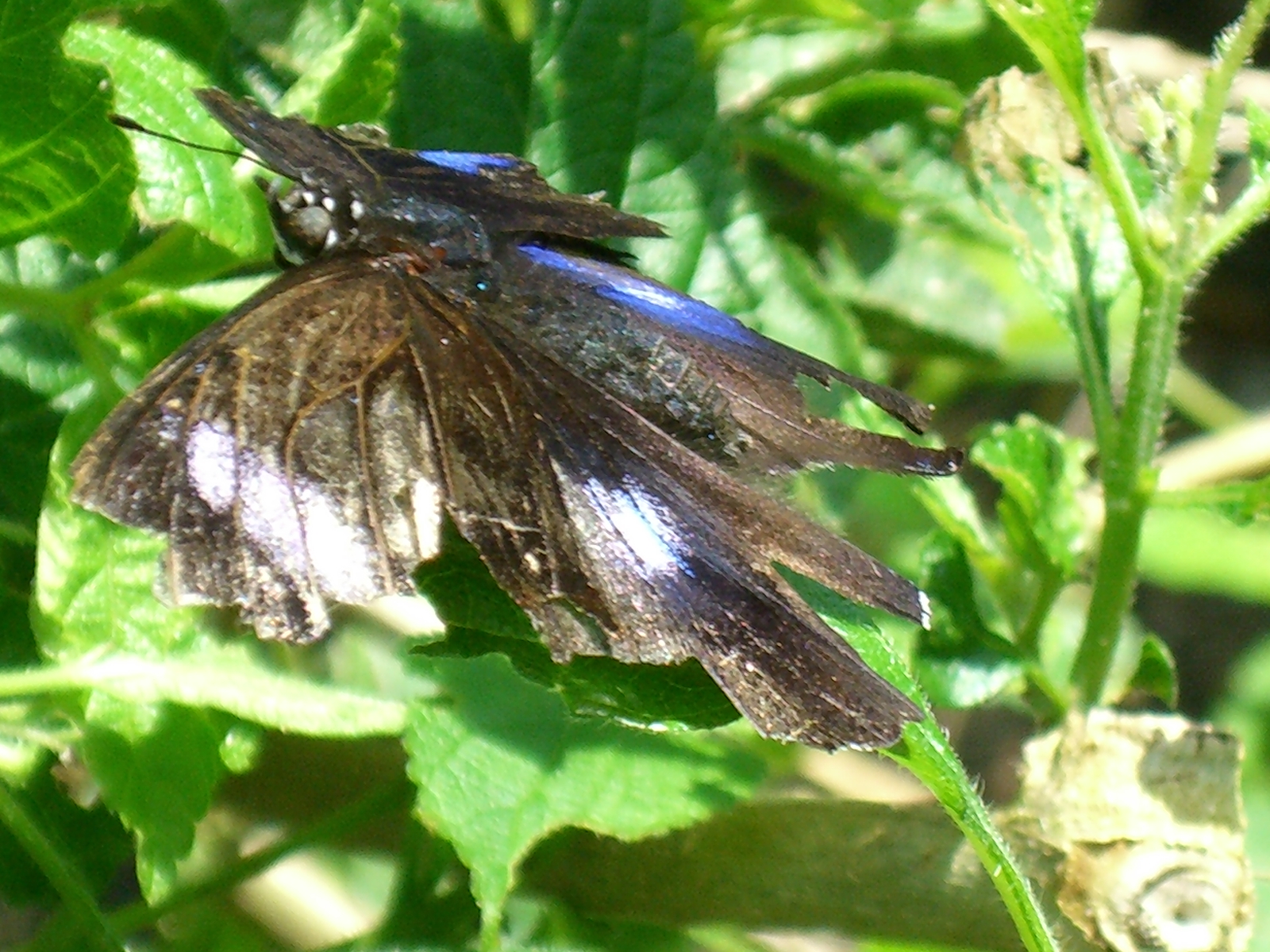 CIMG0070.JPG
