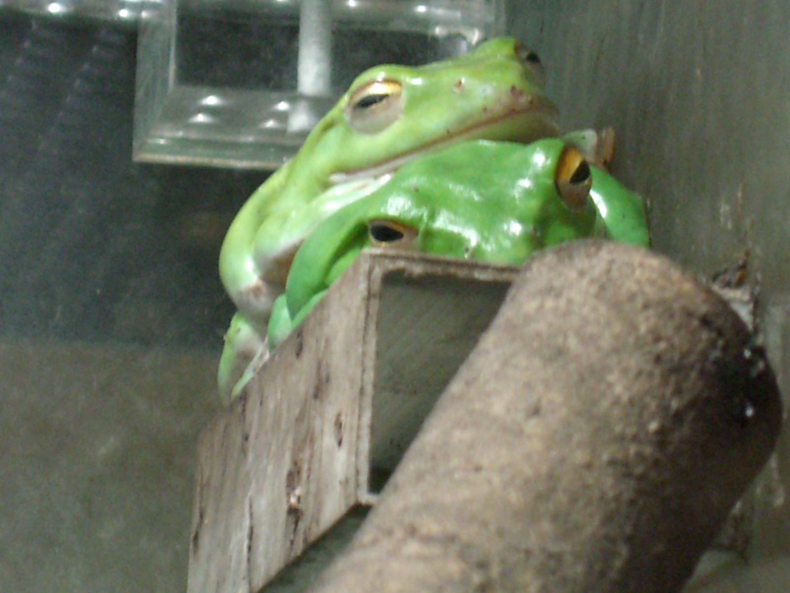 CIMG0074.JPG