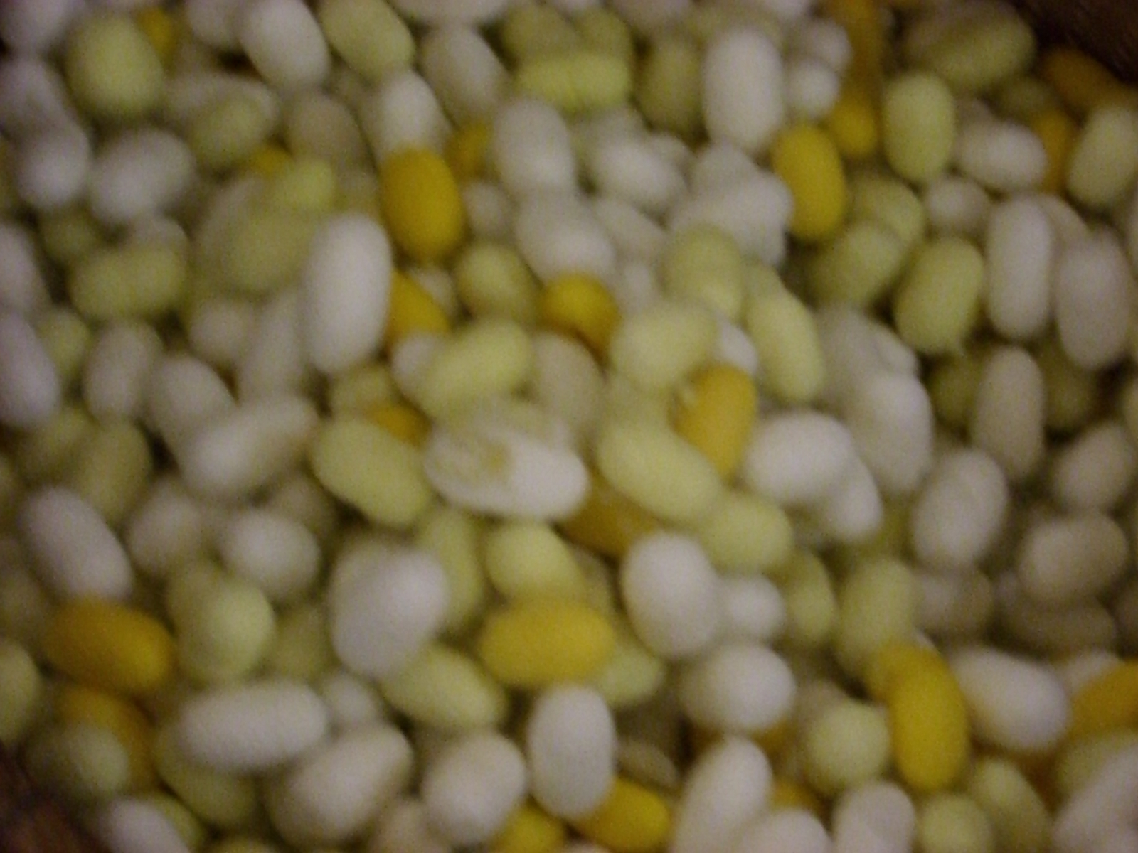 CIMG0081.JPG