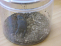 CIMG0086_thumb.png