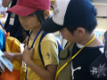 CIMG0089_thumb.png