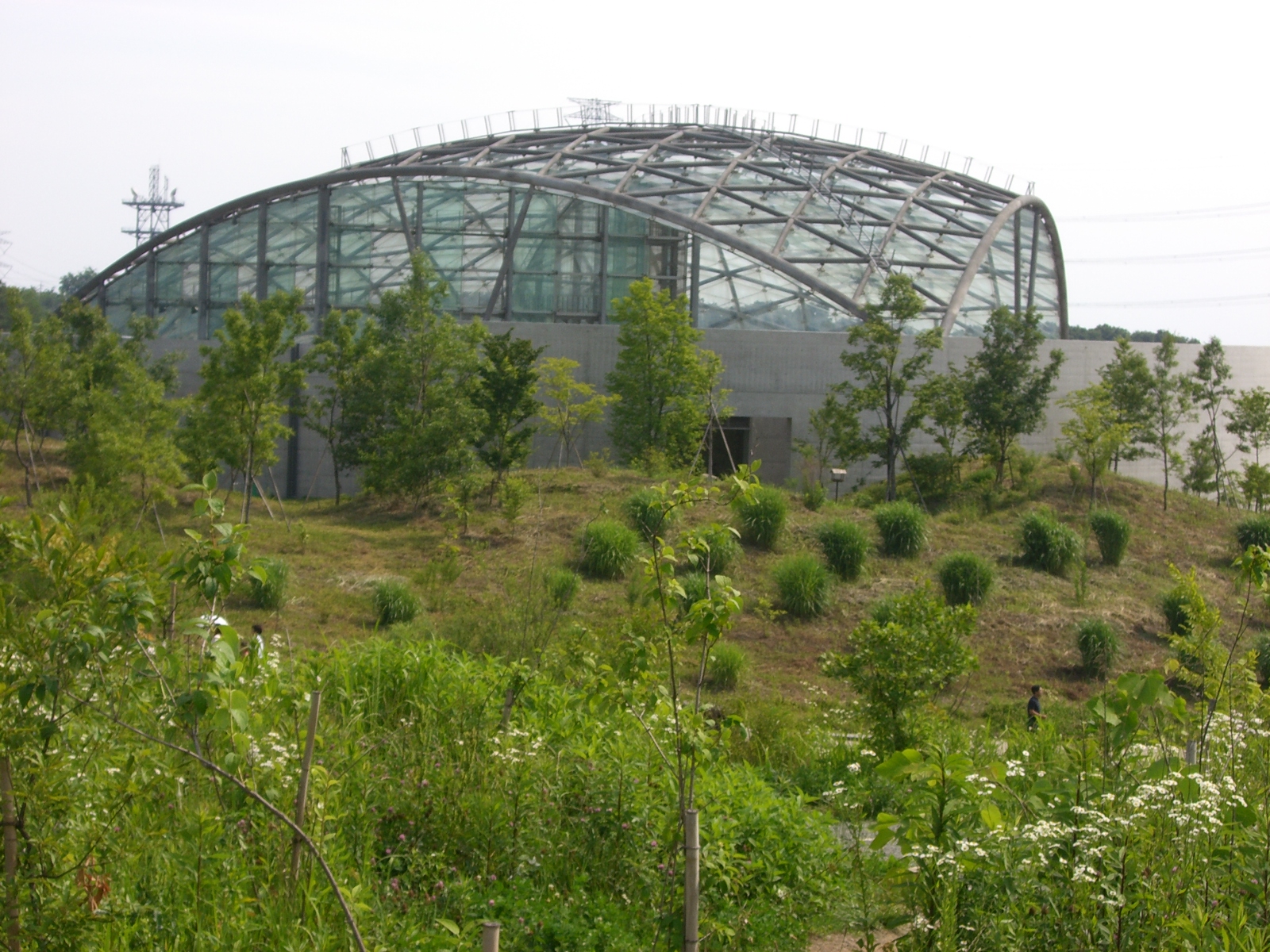CIMG0169.JPG