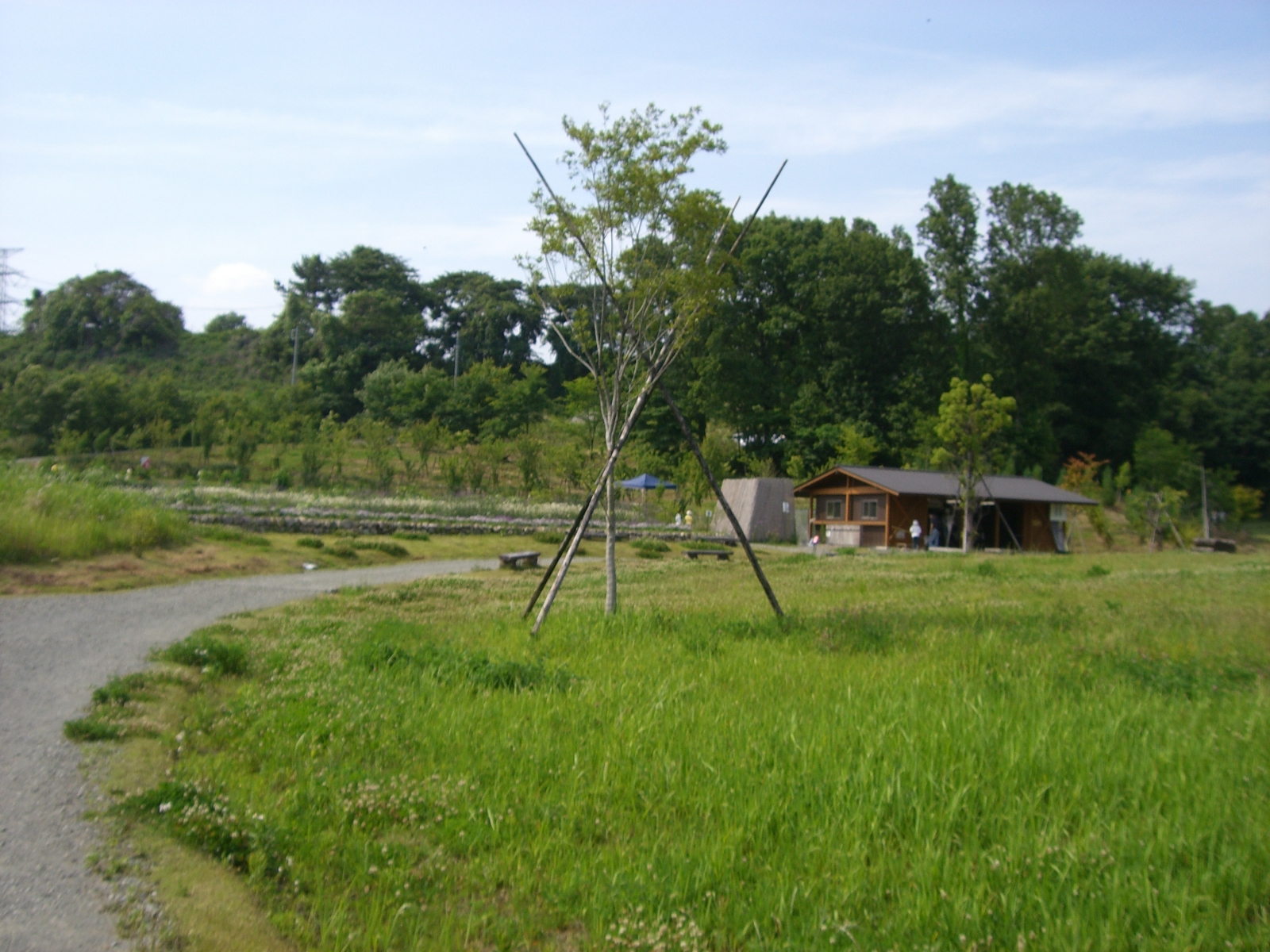 CIMG0172.JPG