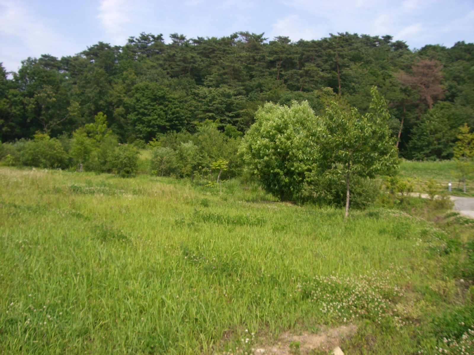 CIMG0174.JPG