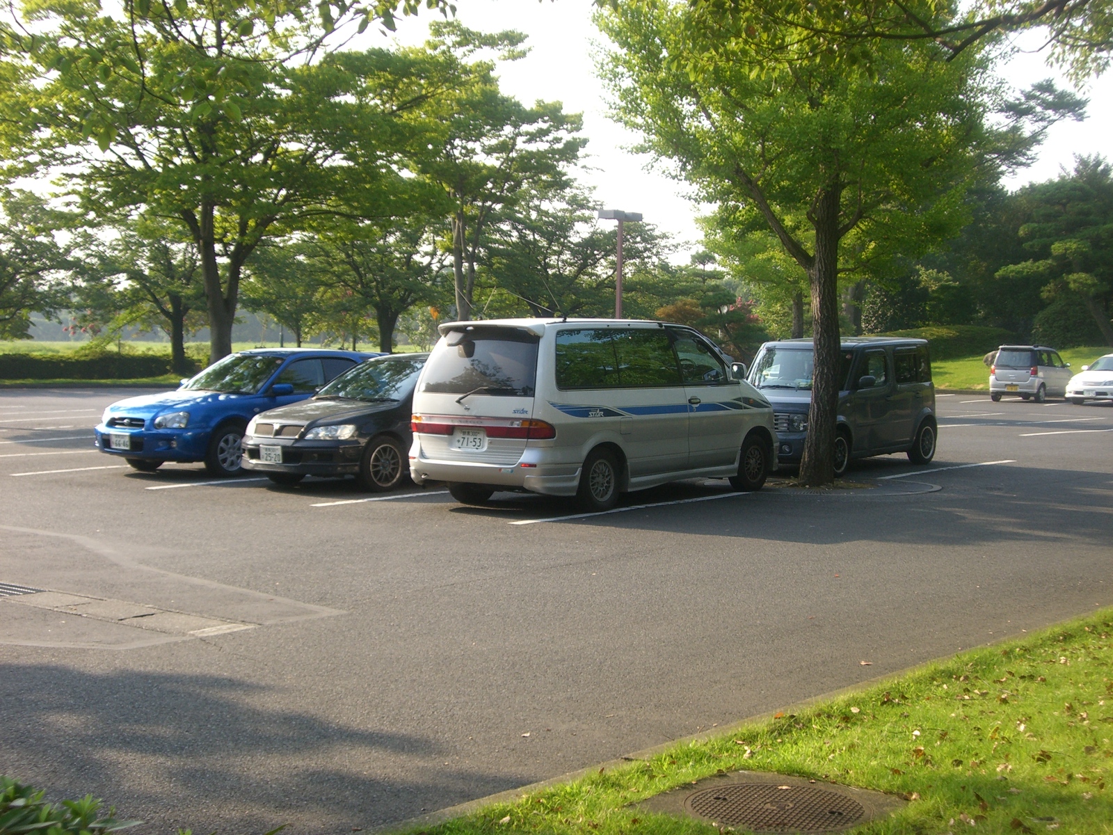 CIMG0064.JPG
