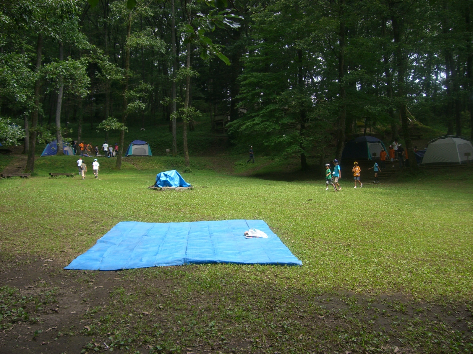 CIMG0121.JPG