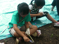 CIMG0137_thumb.png