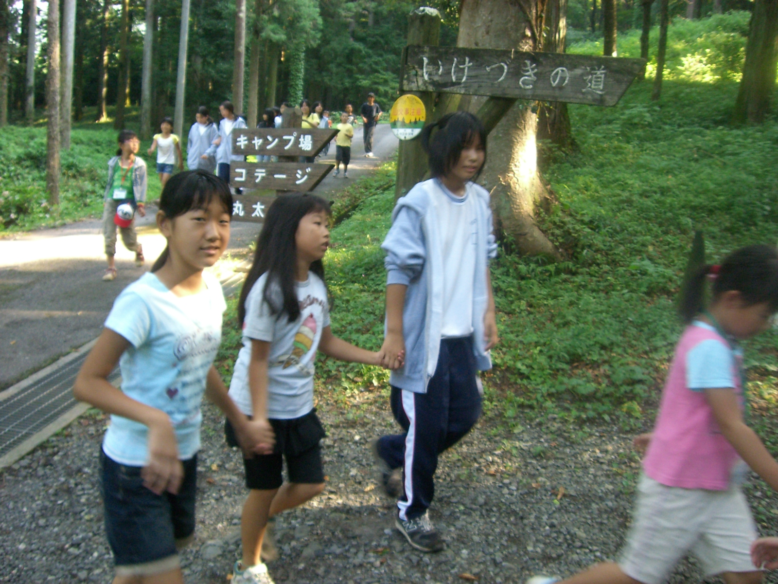 CIMG0229.JPG