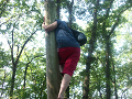 CIMG0246_thumb.png