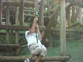 CIMG0257_thumb.png