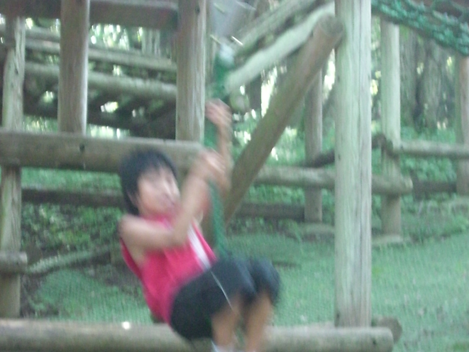 CIMG0259.JPG