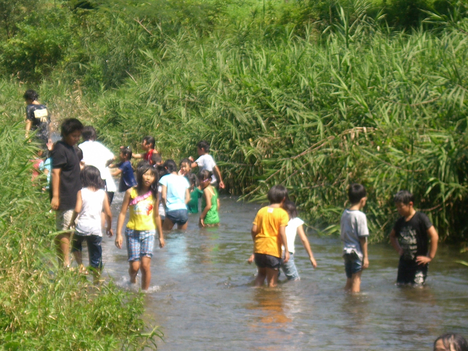 CIMG0270.JPG