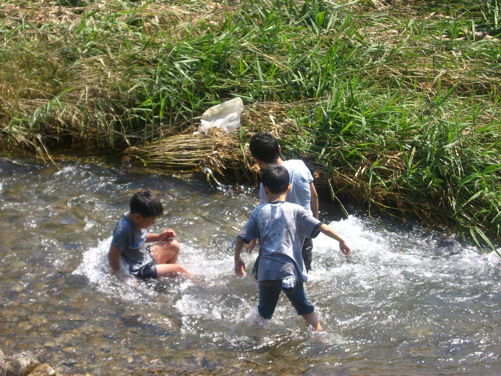 CIMG0284.JPG