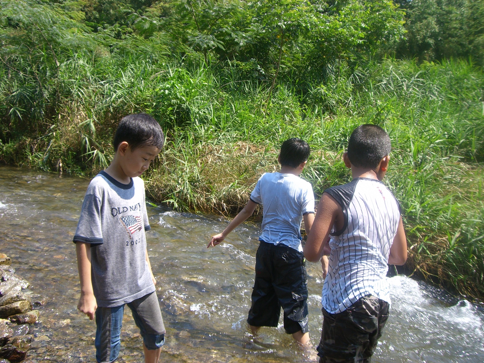 CIMG0303.JPG