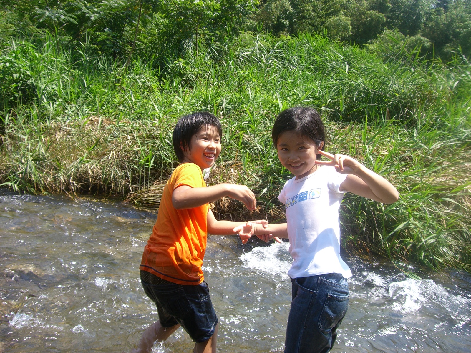 CIMG0305.JPG
