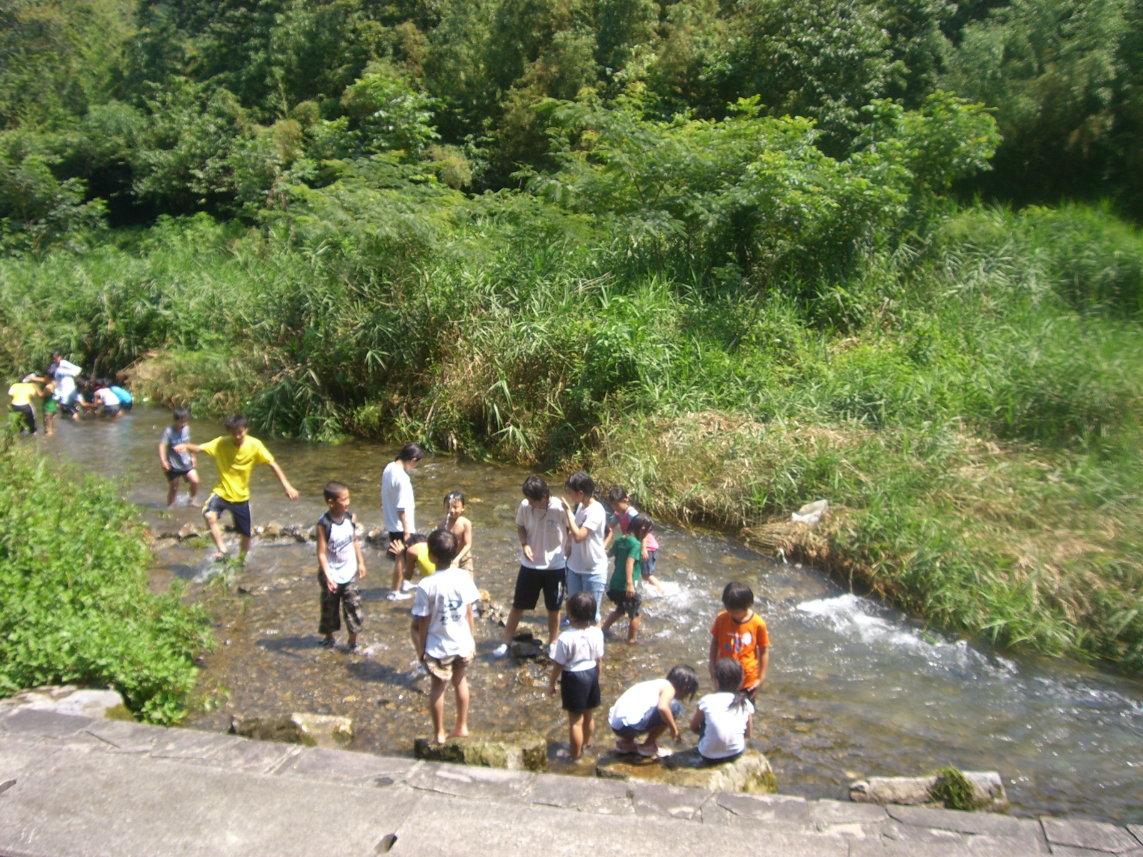 CIMG0310.JPG
