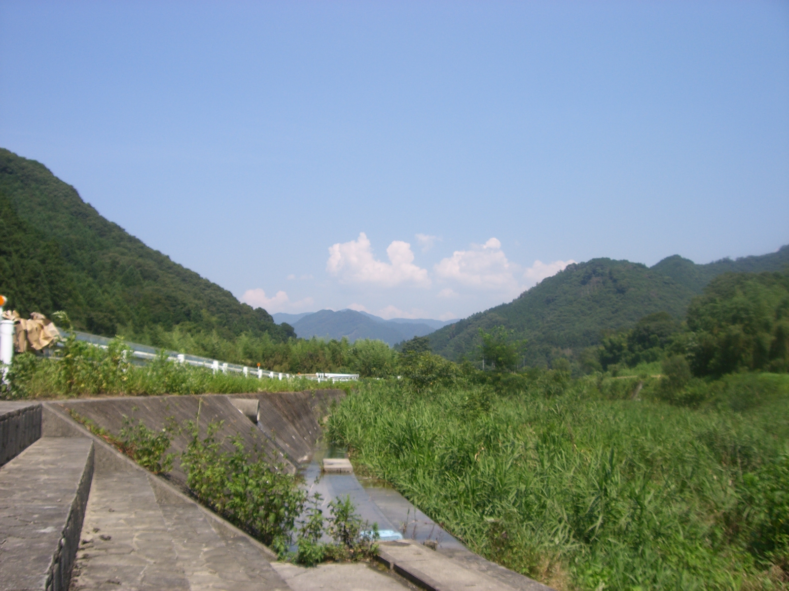 CIMG0311.JPG