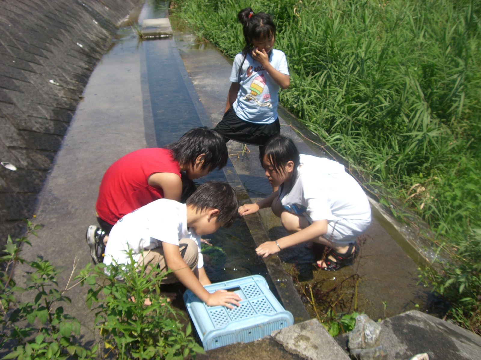 CIMG0315.JPG