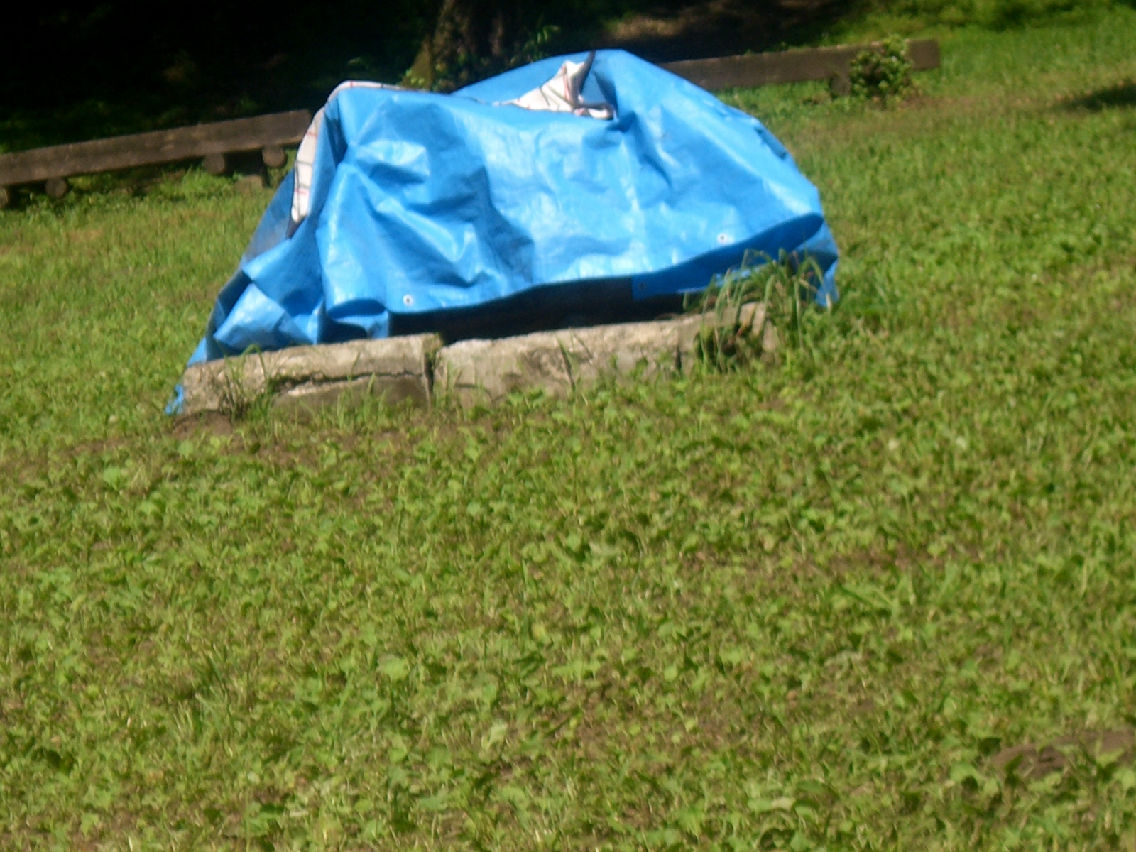 CIMG0371.JPG