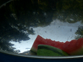 CIMG0373_thumb.png