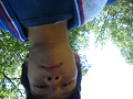 CIMG0377_thumb.png