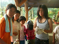 CIMG0418_thumb.png
