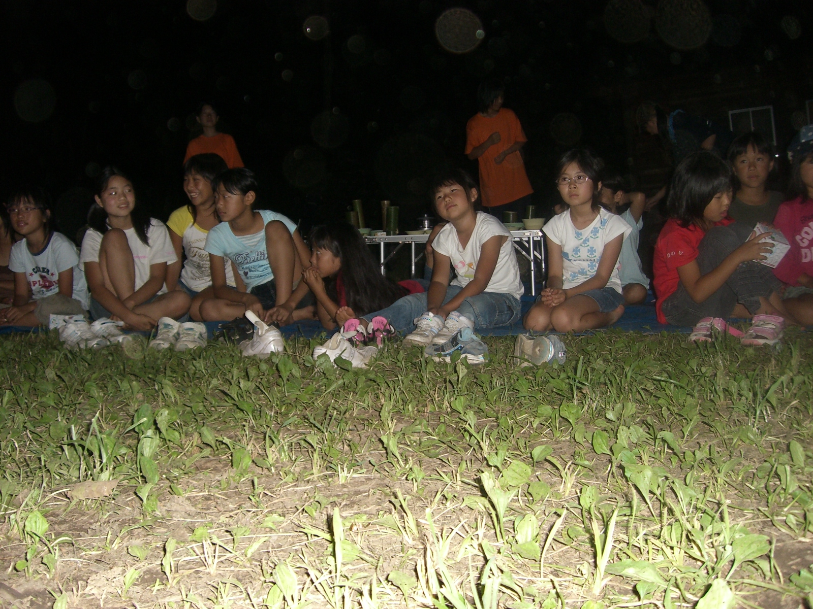 CIMG0477.JPG