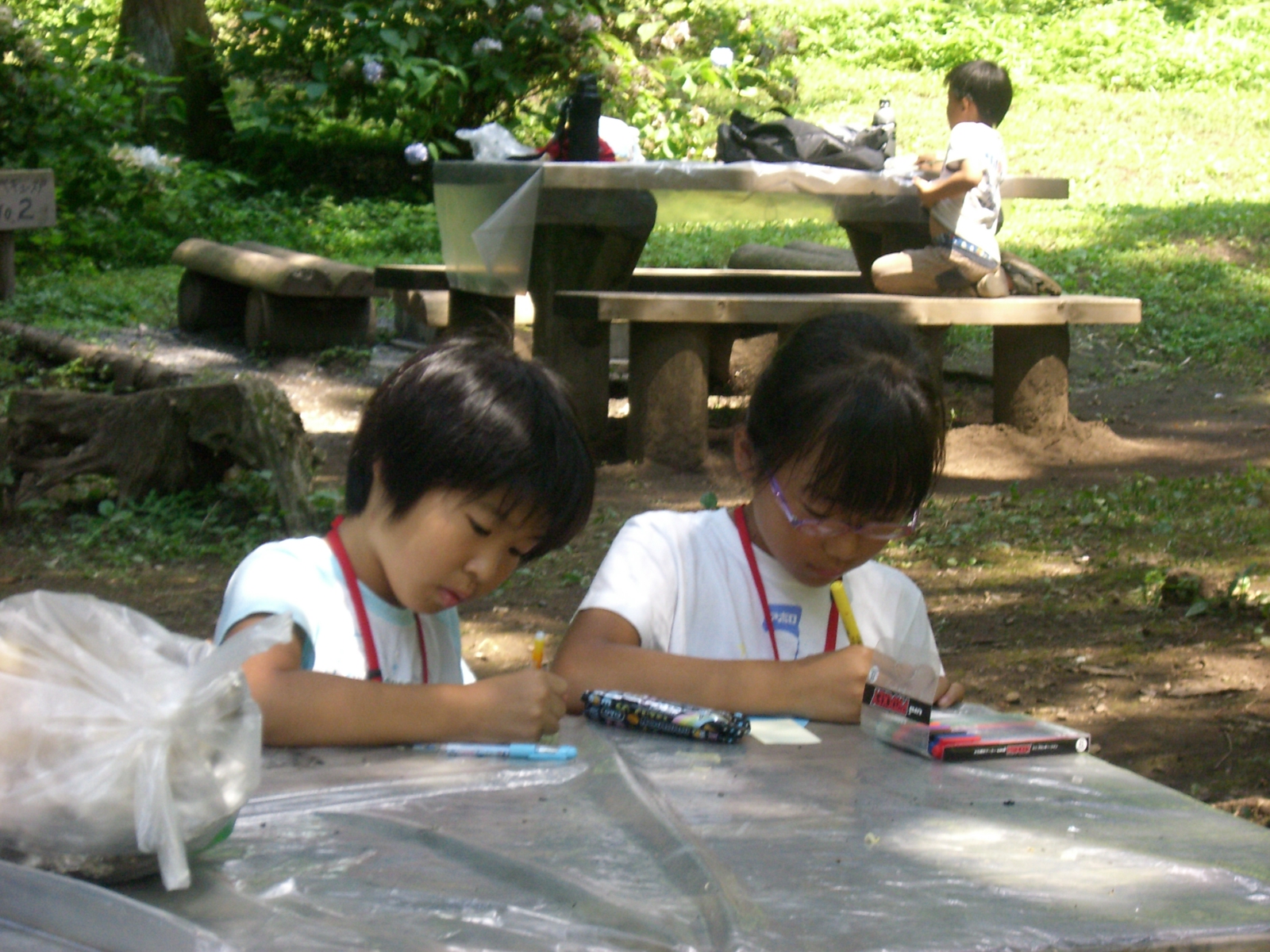 CIMG0591.JPG