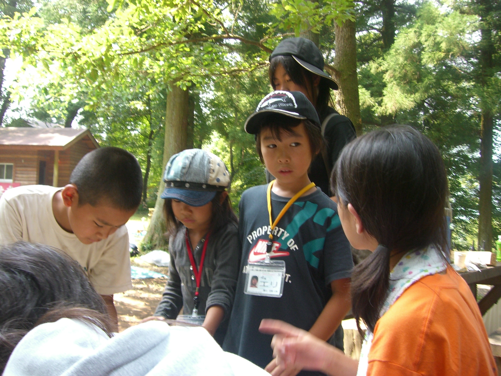 CIMG0610.JPG