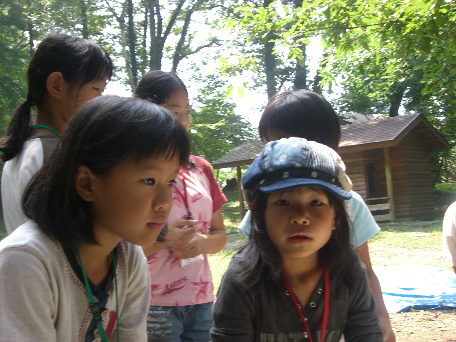 CIMG0619.JPG