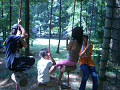 CIMG0688_thumb.png