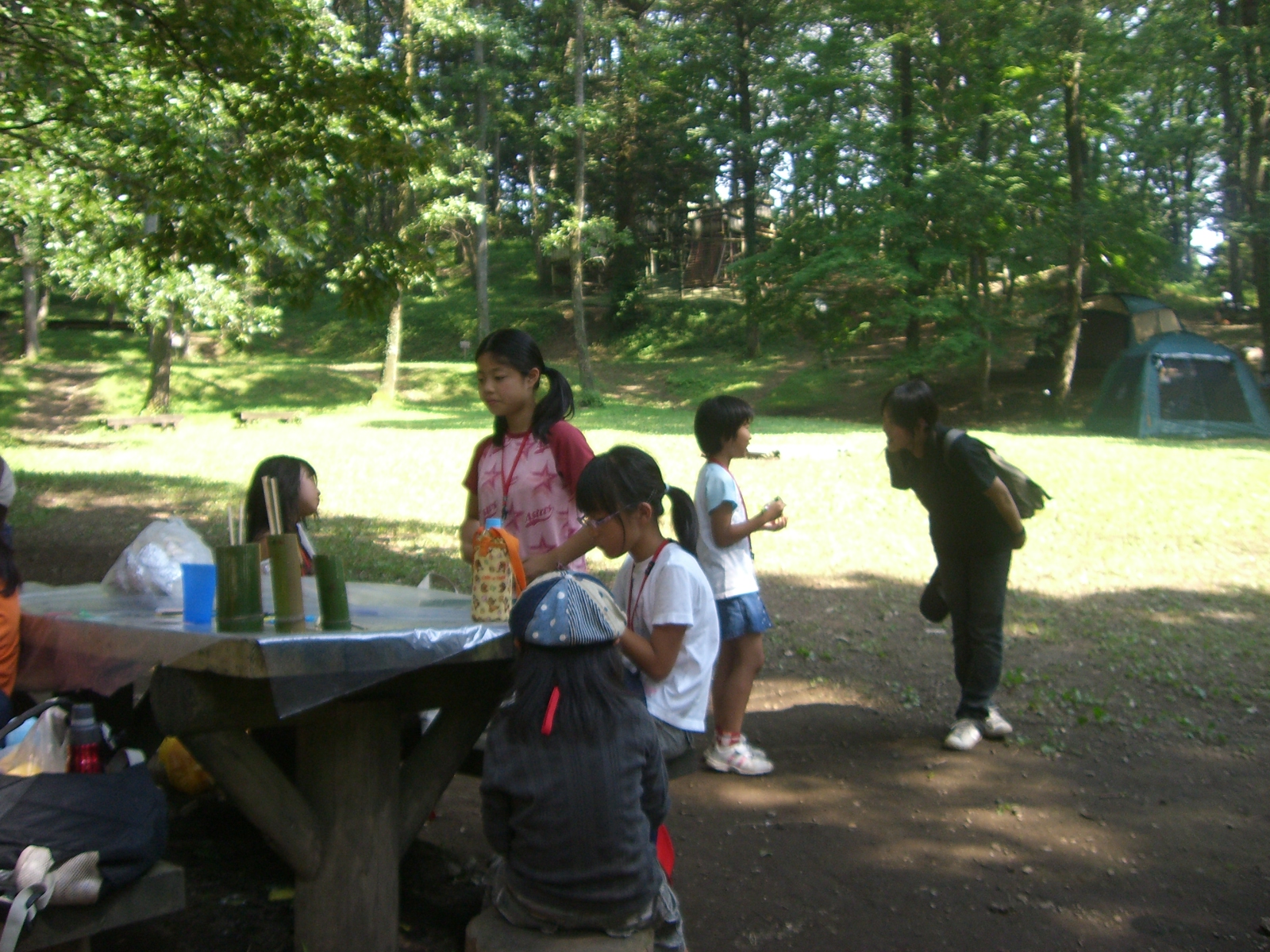 CIMG0695.JPG