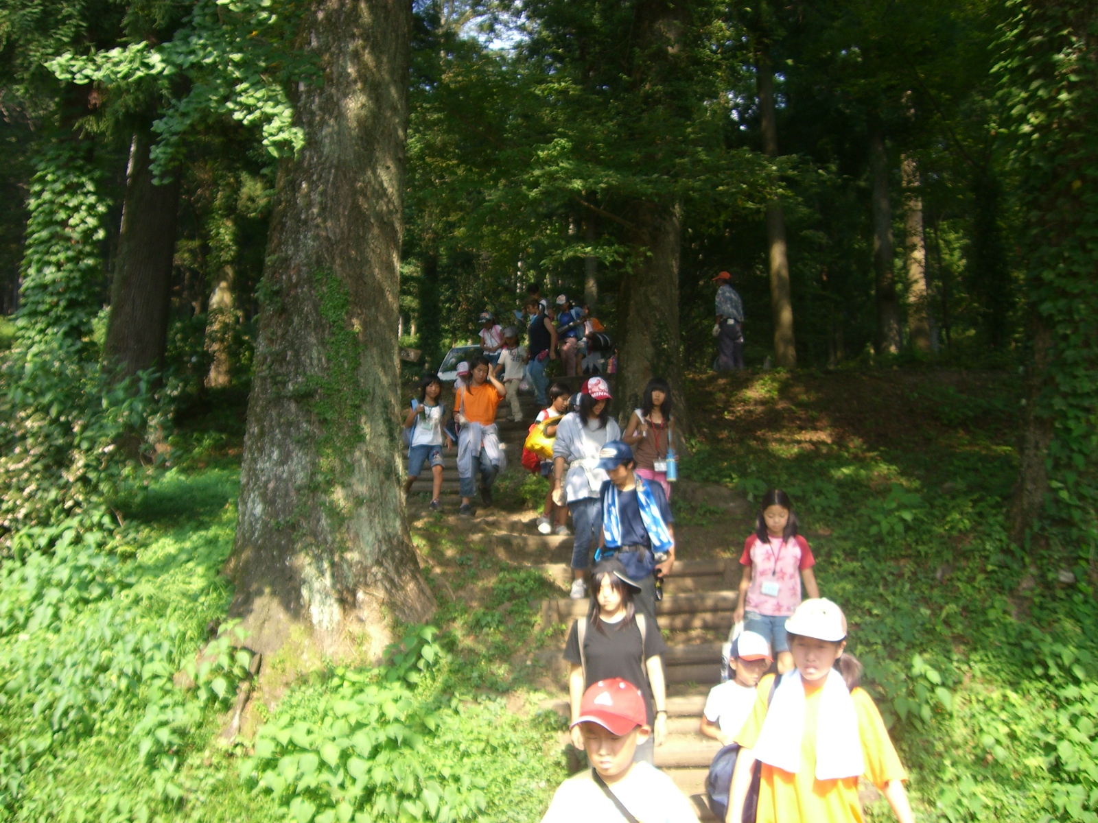 CIMG0701.JPG