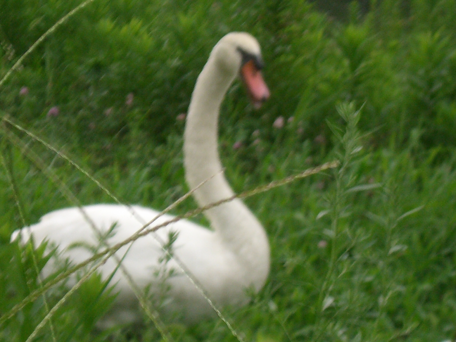 CIMG0107.JPG