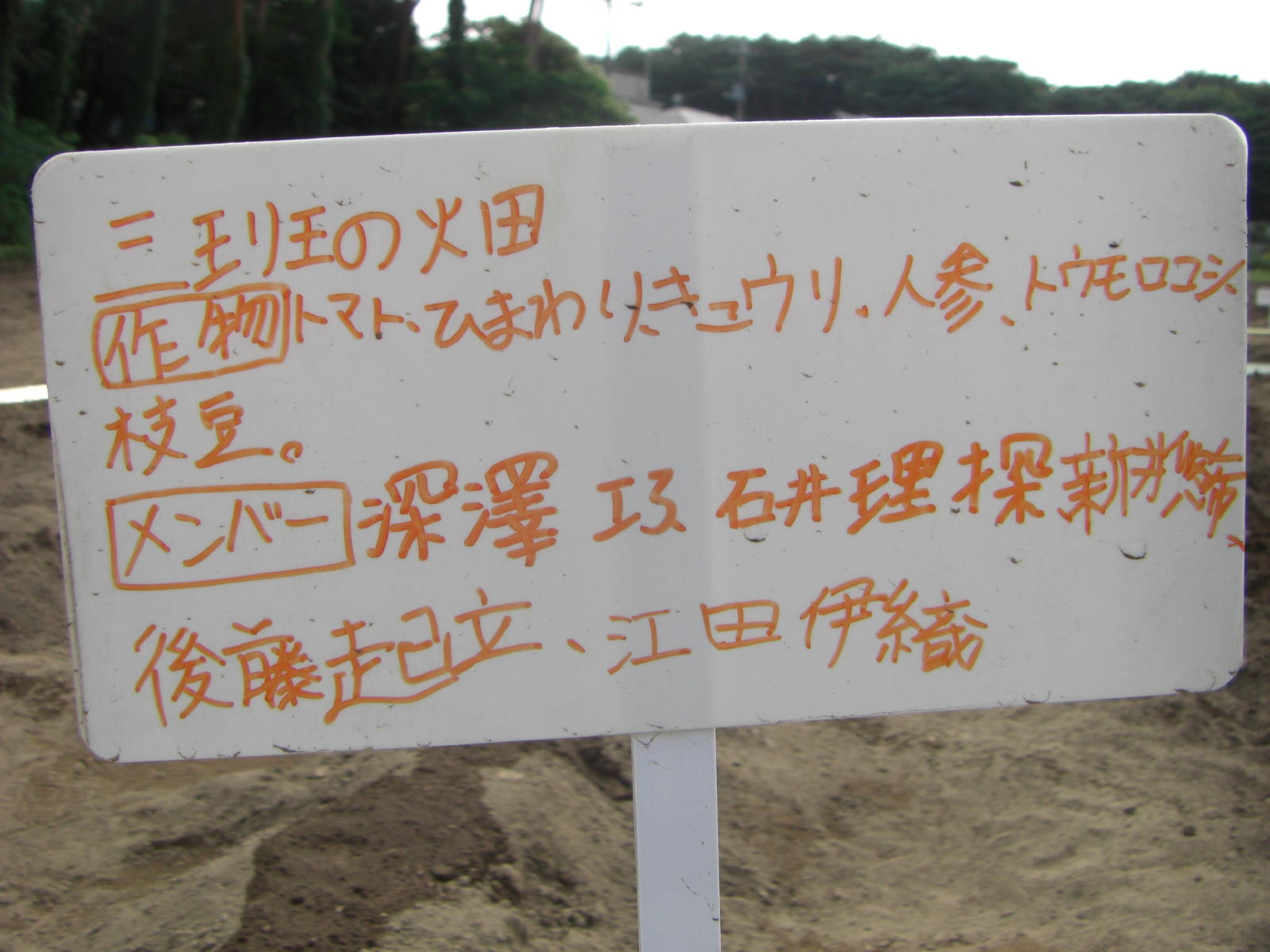 080615_012.JPG