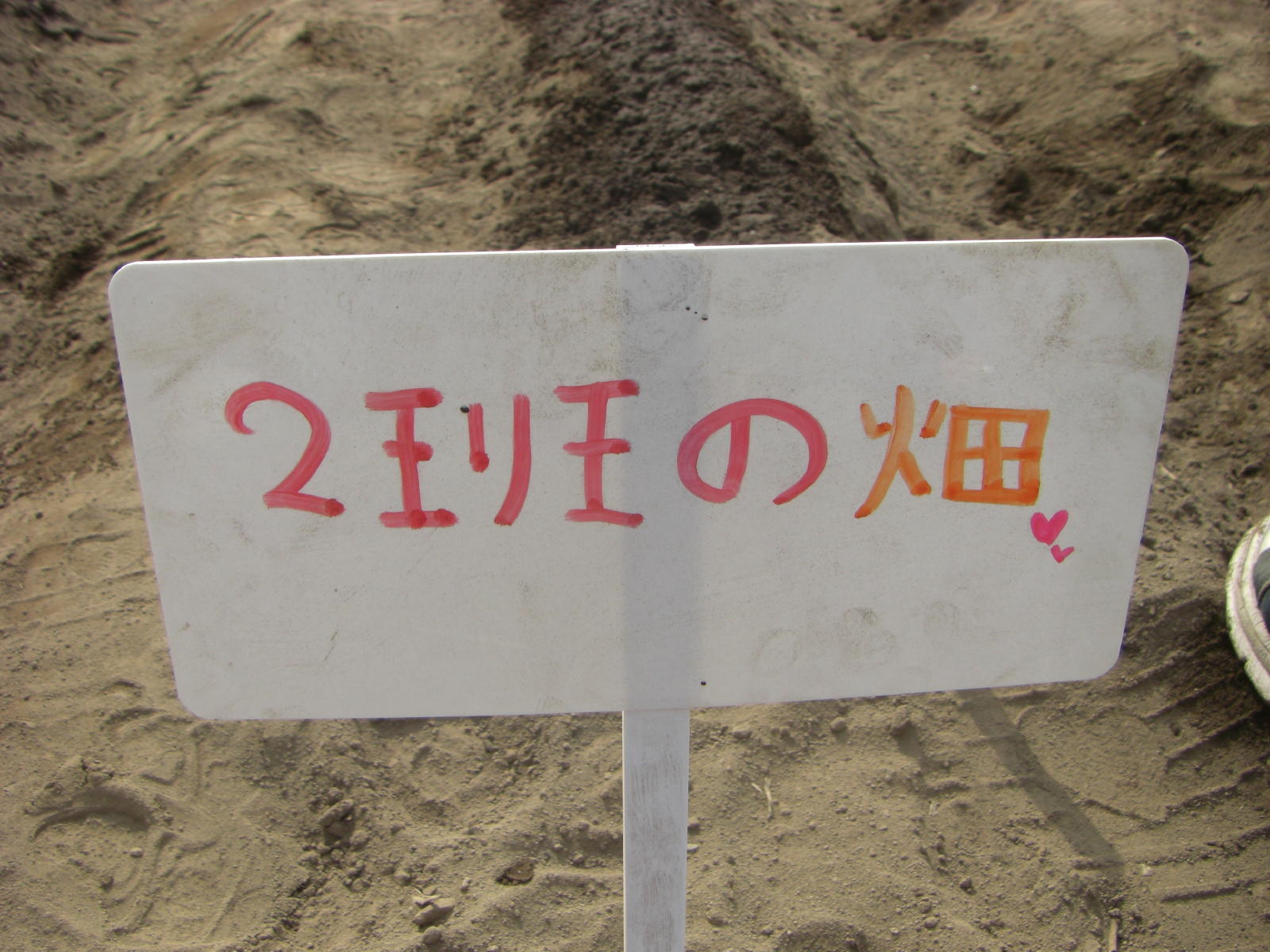 080615_018.JPG