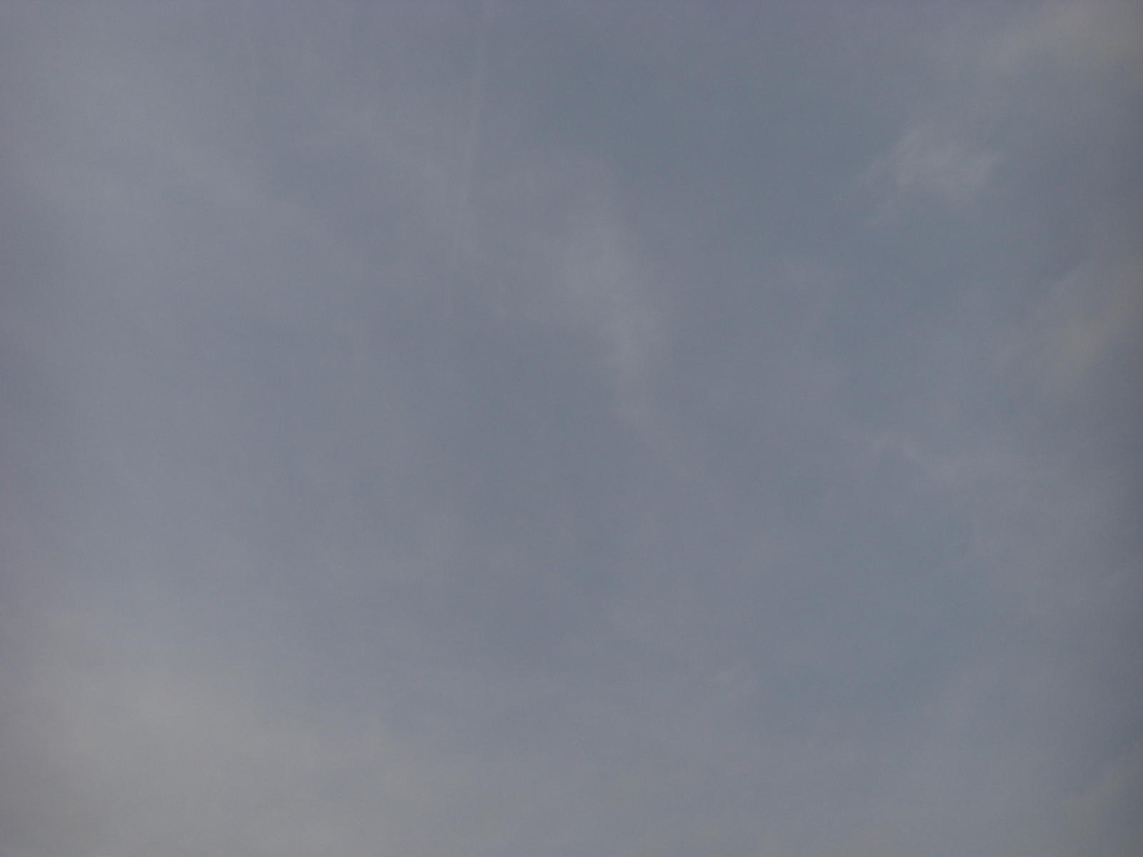 080615_022.JPG