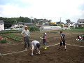 080615_031_thumb.png
