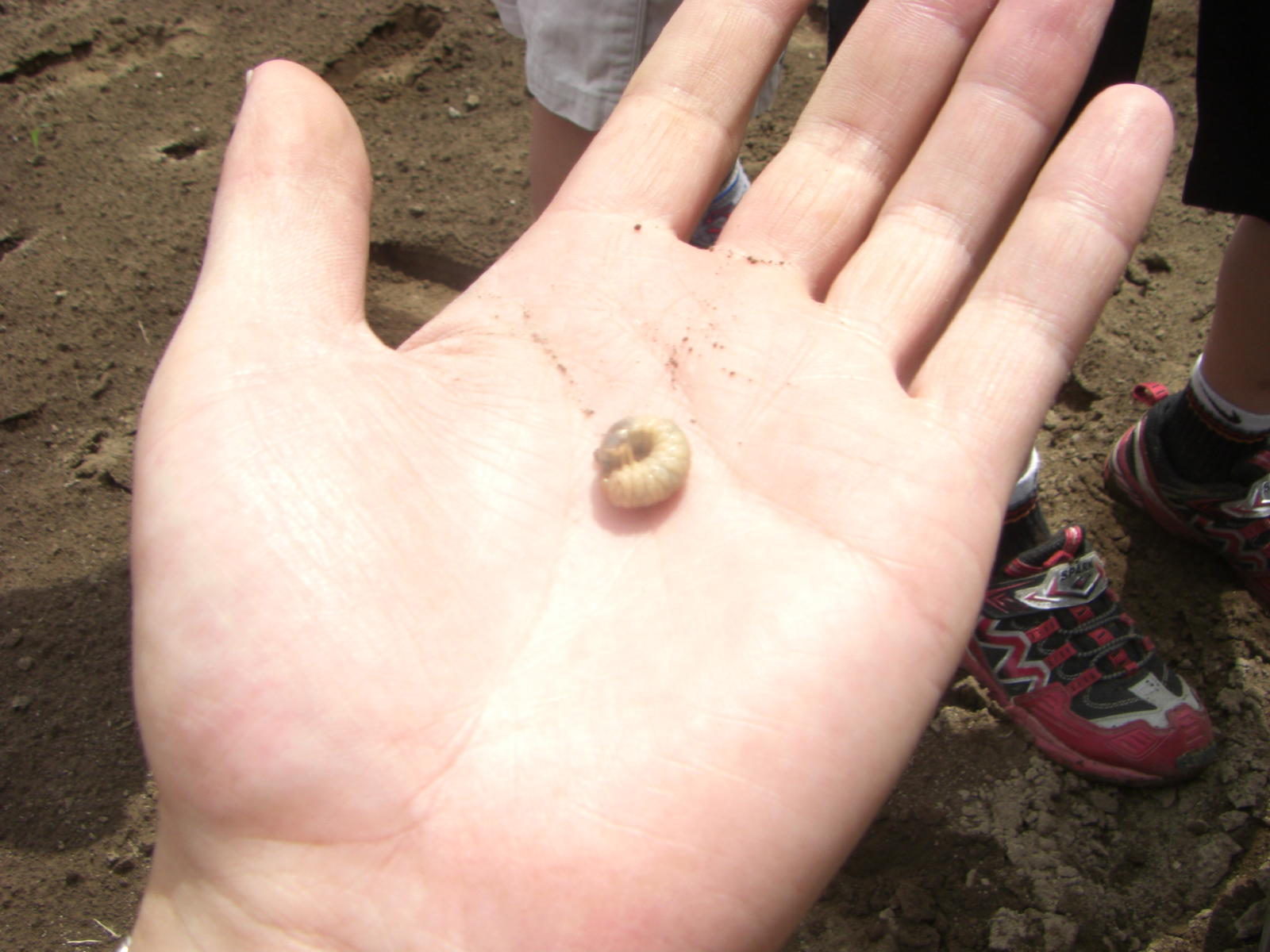 080615_037.JPG
