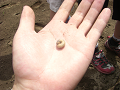 080615_037_thumb.png