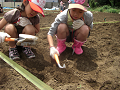 080615_040_thumb.png