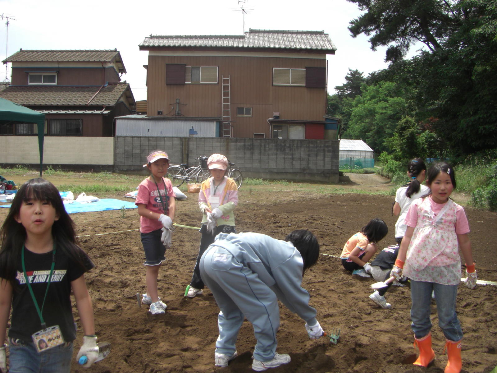 080615_041.JPG