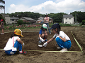 080615_049_thumb.png