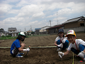 080615_050_thumb.png