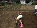 080615_051_thumb.png